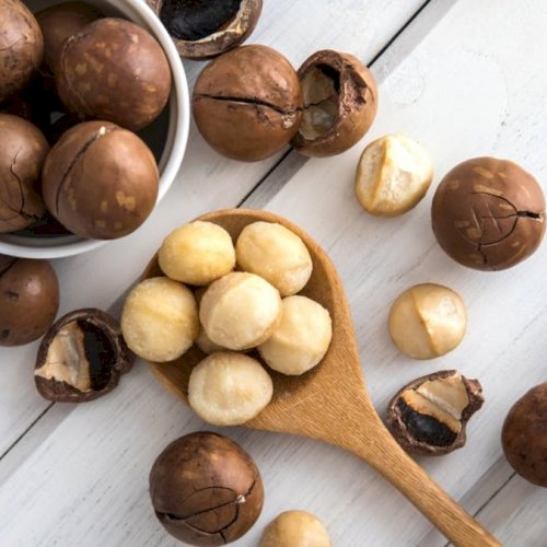 Macca Sấy Giòn Nguyên Vỏ Đăk Lăk