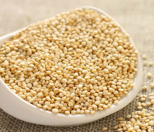 Quinoa