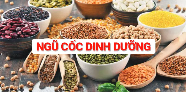 Bột Ngũ Cốc Dinh Dưỡng