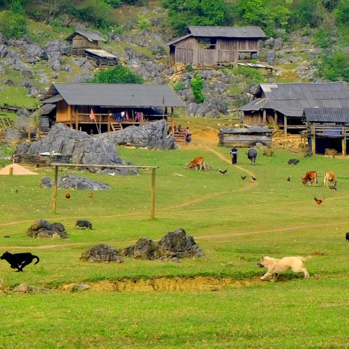 Cùng tìm hiểu về ngôi làng không công nghệ tại Việt Nam 