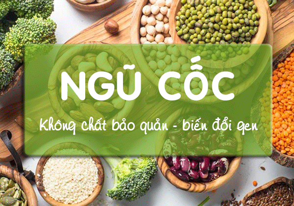 Ngũ cốc nguyên hạt Ngũ cốc nguyên hạt