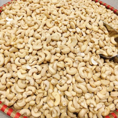Điều vỡ sữa sống