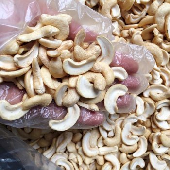 Điều vỡ sữa sống