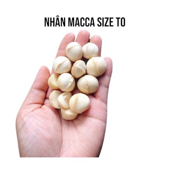 Nhân Macca Đắk Lắk Nhân Macca Đắk Lắk