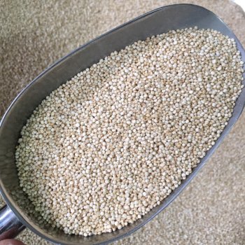 Quinoa