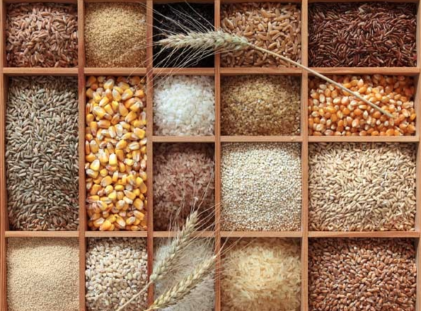 Ăn gì để tăng sức đề kháng? Tìm hiểu loại thực phẩm công dụng này nhé