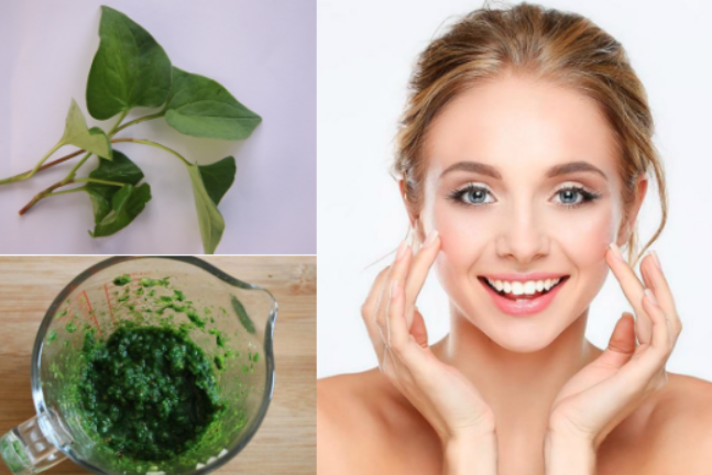 Ngày hè bạn nên thử ngay loại rau thanh mát ví như nhân sâm ngay nhé