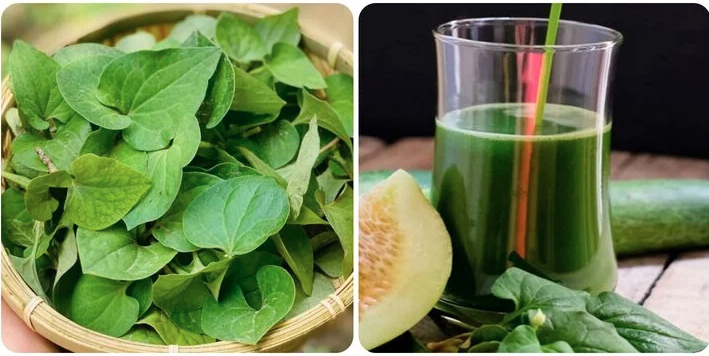 Ngày hè bạn nên thử ngay loại rau thanh mát ví như nhân sâm ngay nhé