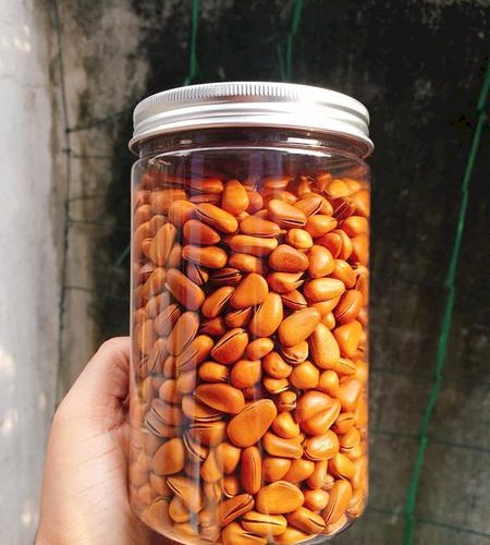 Hạt Thông Mỹ