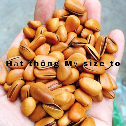 Hạt Thông Mỹ